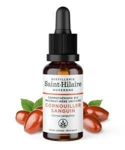 Macerat de Cornouiller sanguin BIO 30 ml BIO, 30 ml